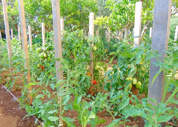 לינה וארוחת בוקר Pansion Kardum 3*