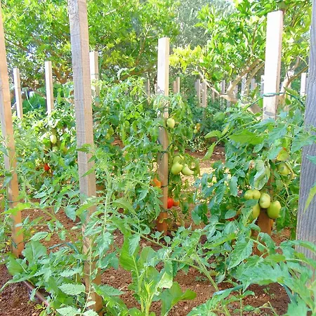 Bed & Breakfast Pansion Kardum 3*